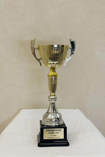 sports achievements-017
