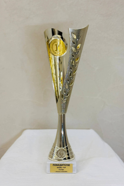 sports achievements-018