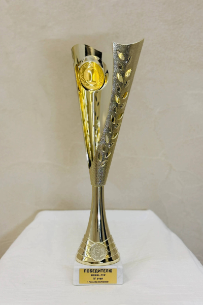 sports achievements-019