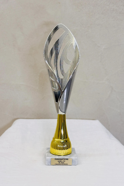 sports achievements-021