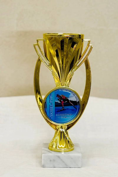 sports achievements-023